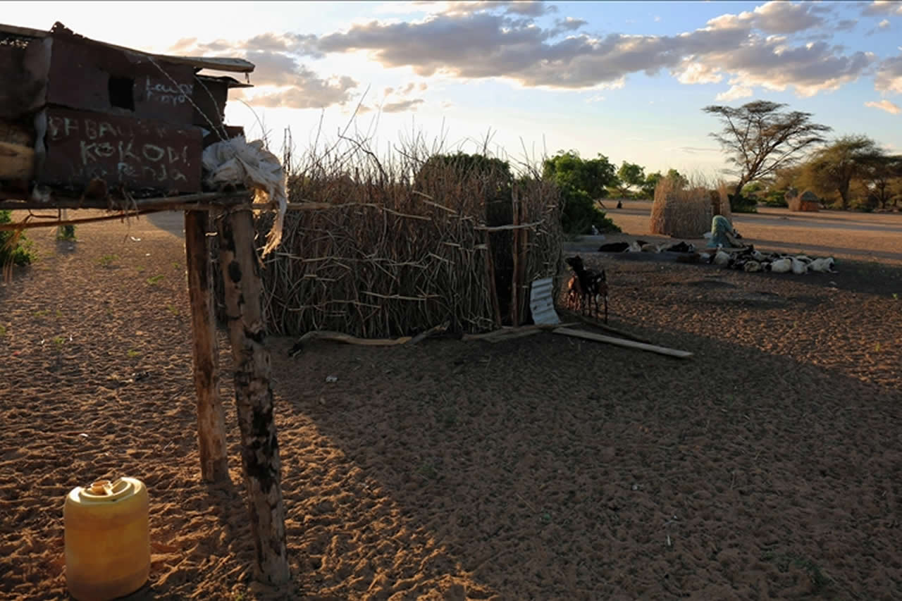 Shelter and Basic Needs