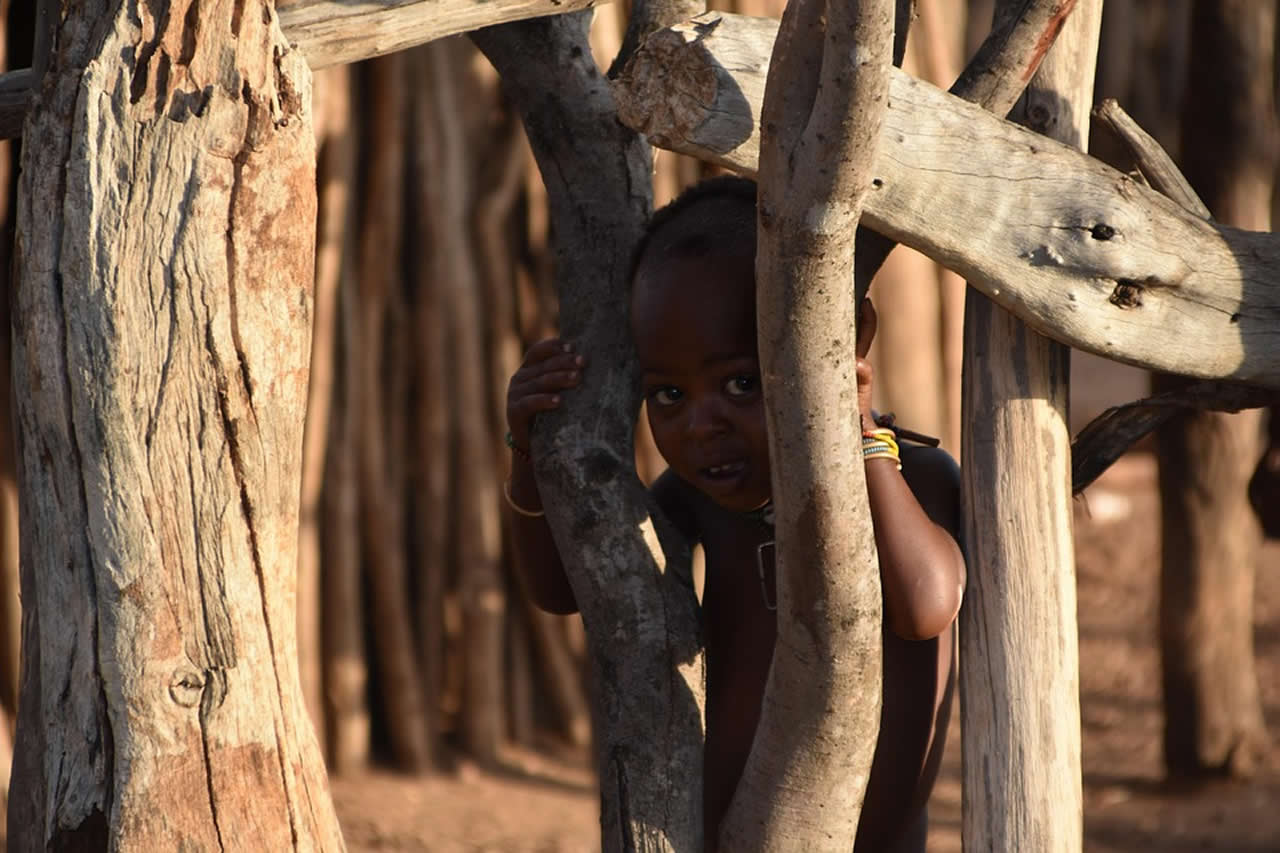 Shelter and Basic Needs