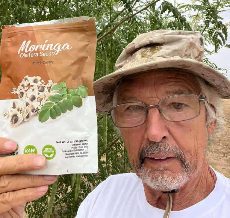 Moringa Oleifera Cultivation Project